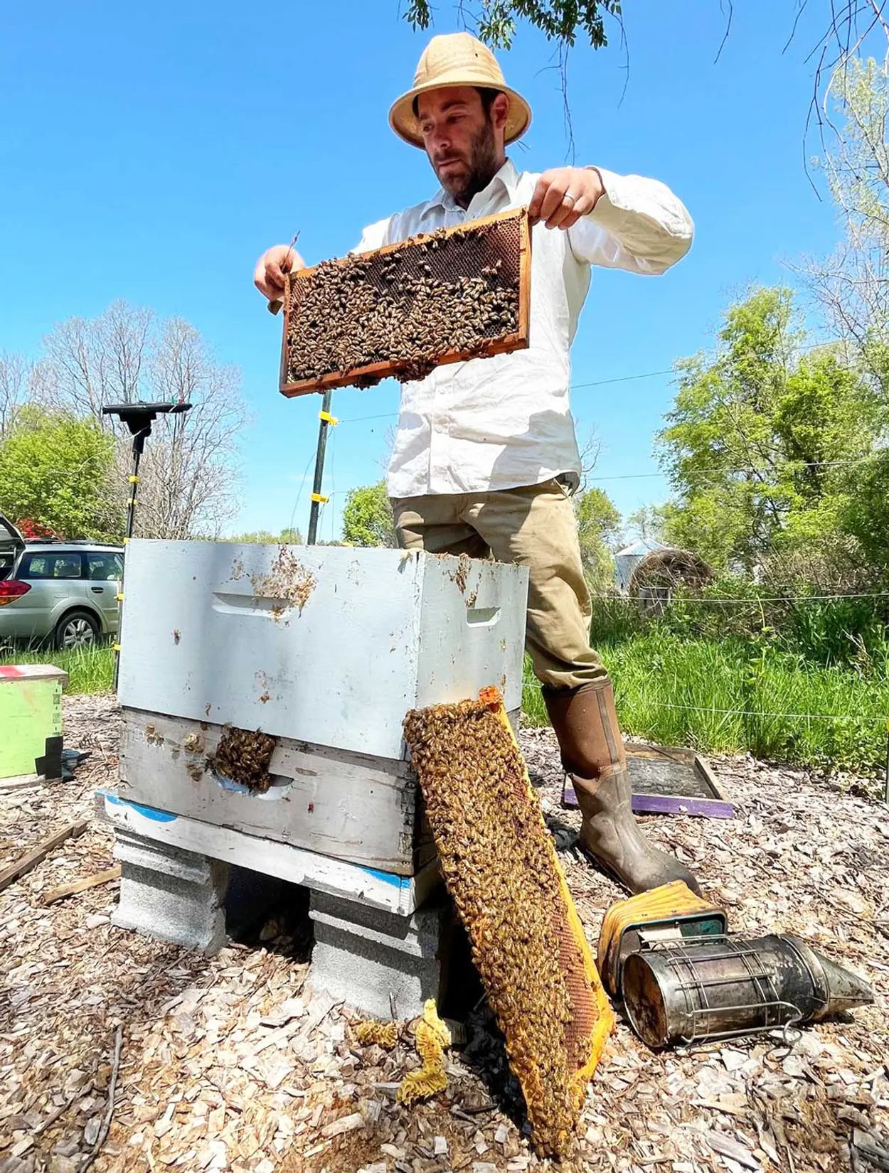 urban bee keeping Melbourne